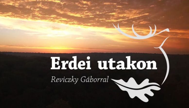 Erdei utakon - Reviczky Gáborral Sümegen