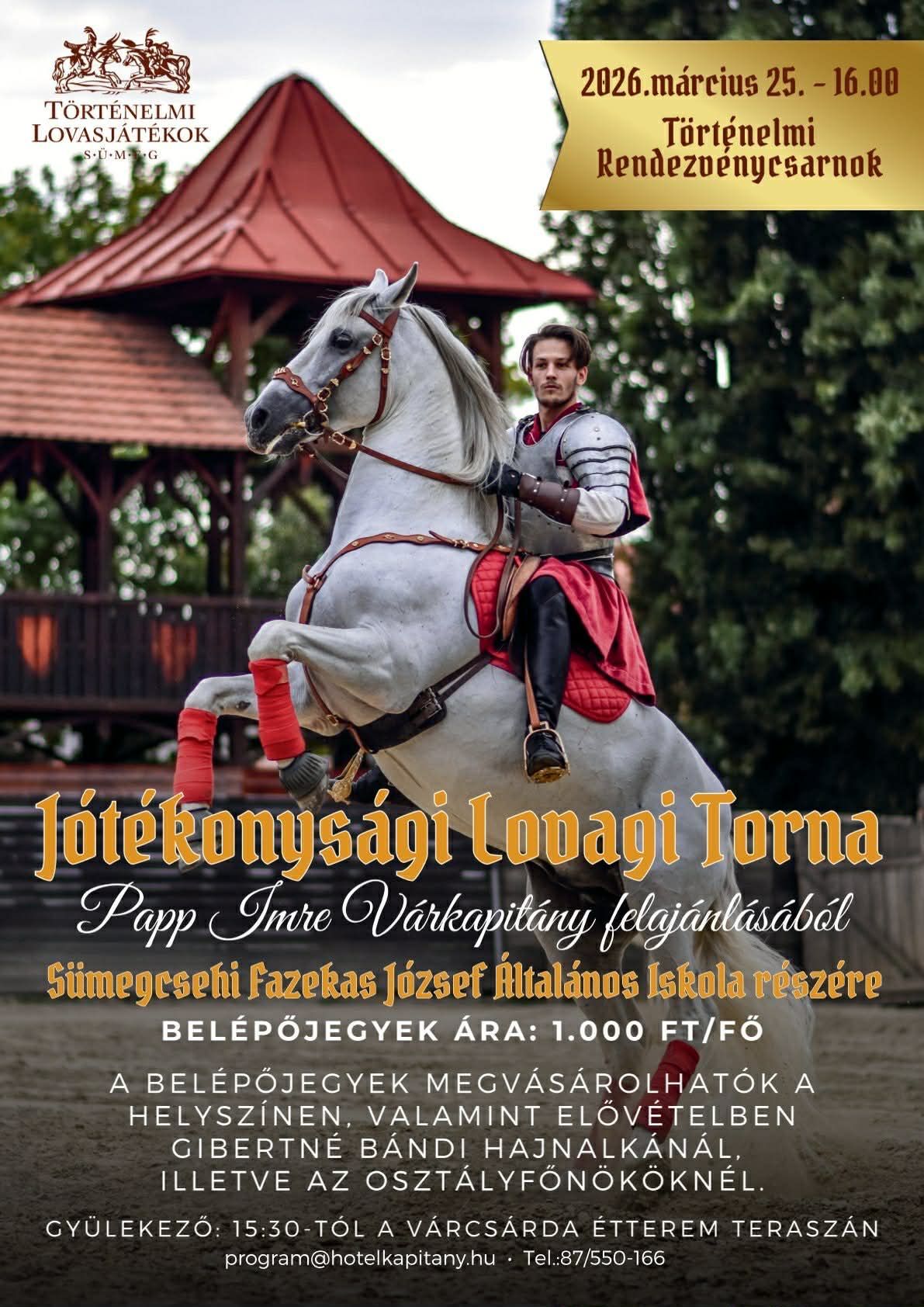 Jótékonysági lovagi torna