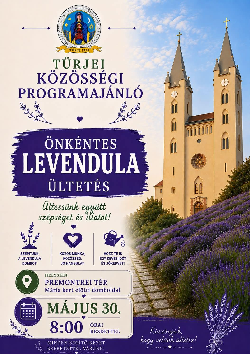 Levendula ültetés Türjén