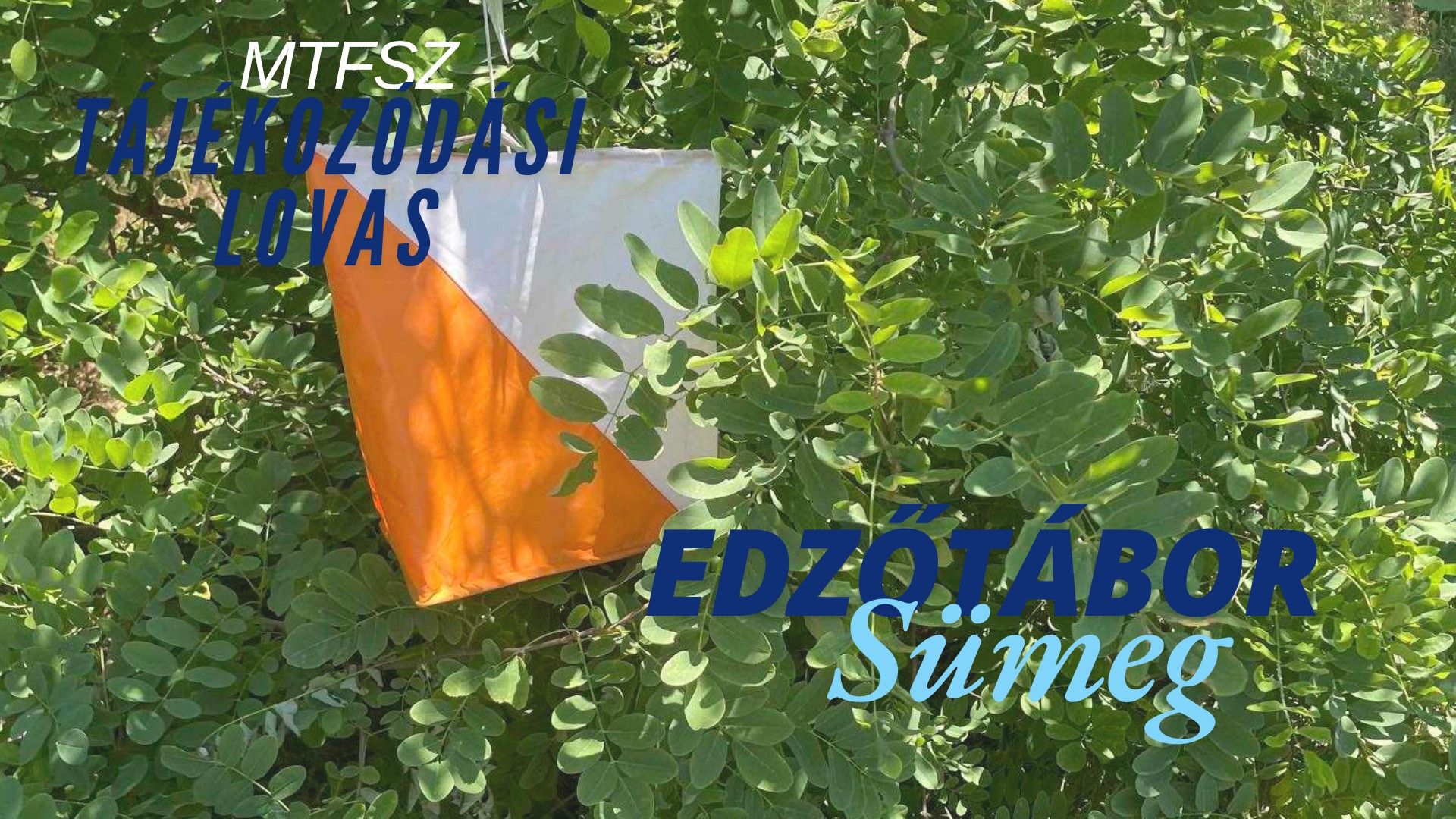 MTFSZ Tájékozódási lovas edzőtárbor